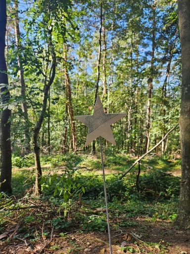 Sternstecker mit 5 Zacken, Gartenstecker im Wald